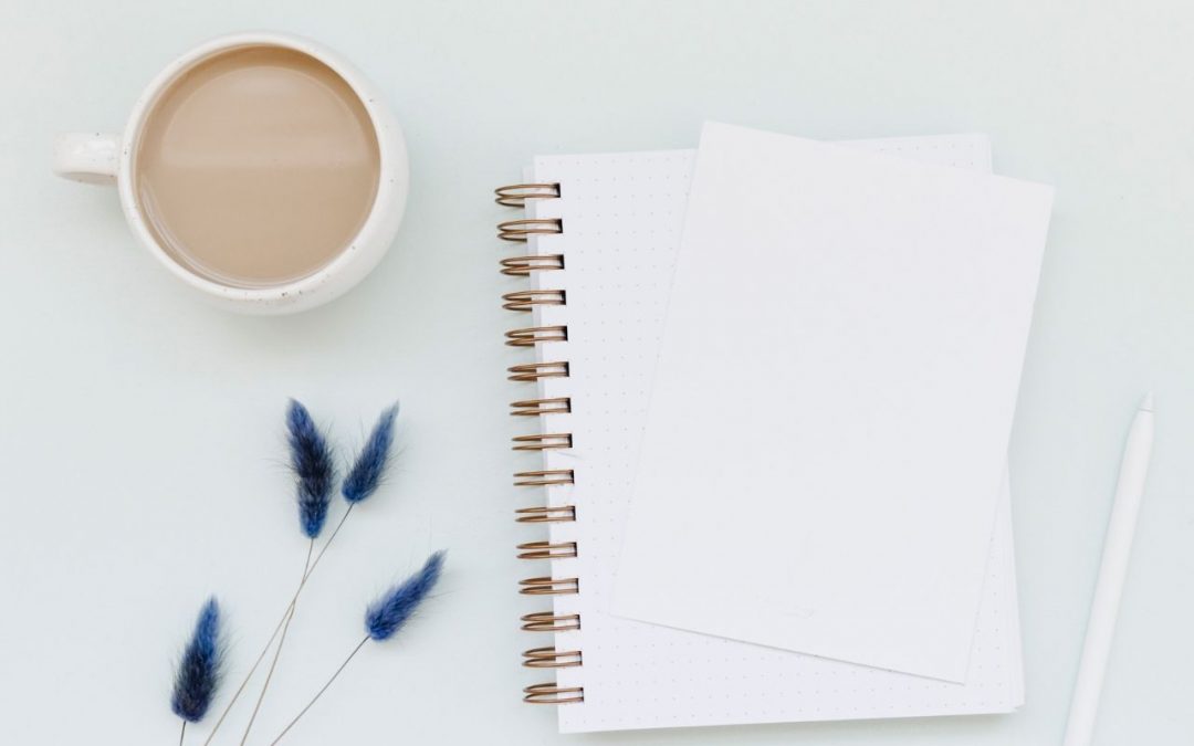 Sample blog no sidebar